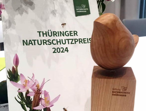 Gotha erhält Thüringer Naturschutzpreis 2024 für Klimaschutzprojekt 'Mini-Wald