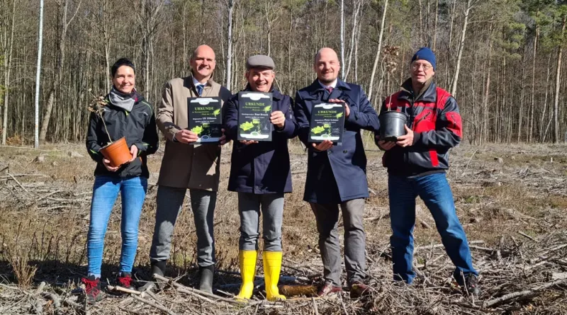 Drei Eichenwälder entstehen anlässlich des Stadtjubiläums im Ergebnis von Spendenprojekten