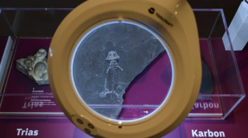 Veränderte Öffnungszeiten des BROMACKERlabs