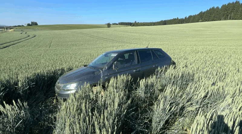 Skoda durchbricht Wildschutzzaun – Unfall auf der A9 bei Schleiz