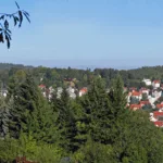 Veranstaltungen in Friedrichroda KW 41/2025