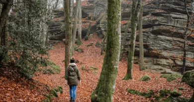 Landtagsmitglied Bilay geht wandern