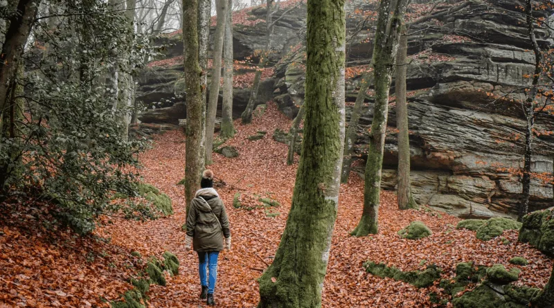 Gotha: „Bewegte Woche 50+“ lädt zum Sporttreiben ein Landtagsmitglied Bilay geht wandern
