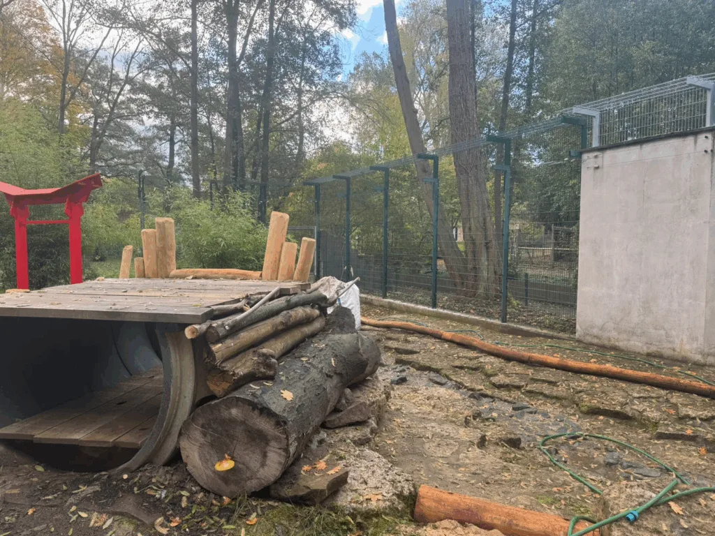 Tierpark Gotha: Halloweenfest entfällt – umfassende Umbauarbeiten starten