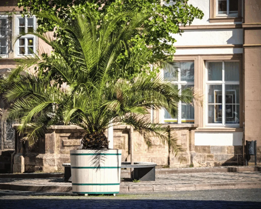 Gotha: Blumenkübel kommen ins Winterquartier