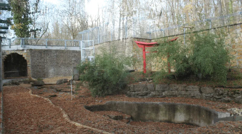 Erster Bauabschnitt abgeschlossen: Neues Zuhause für Tigerin Indira im Tierpark Gotha