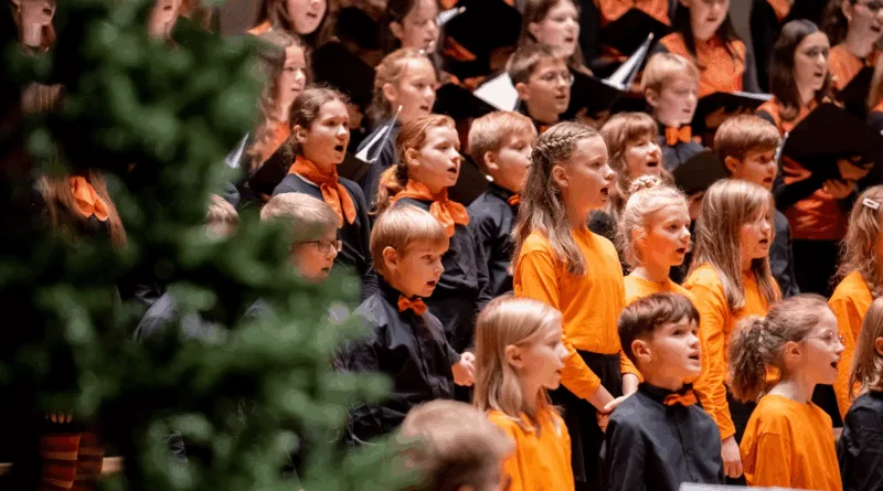 Durch den Advent mit den MDR-Ensembles