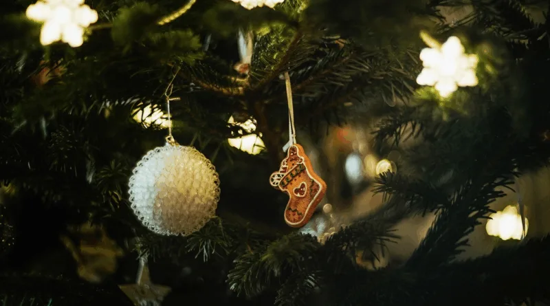 Freie Fahrt für Kinder auf dem Gothaer Weihnachtsmarkt