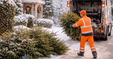 Gotha: Weihnachtsbäume werden im Januar abgeholt Gotha: Weihnachtsbäume werden im Januar abgeholt