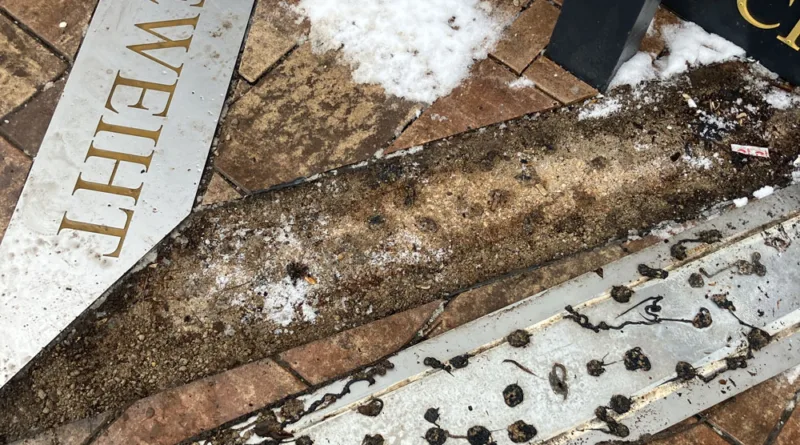 Gotha: Frostschaden am Denkmal der ehemaligen Synagoge Frostschaden am Denkmal der ehemaligen Synagoge