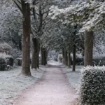 Glätte auf Park- und Friedhofswegen