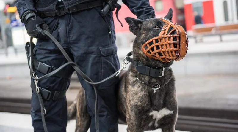 Bundespolizei Saalfeld Bahnhof