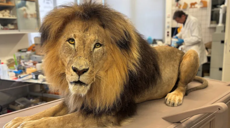 „Pitti“ – Eine Würdigung