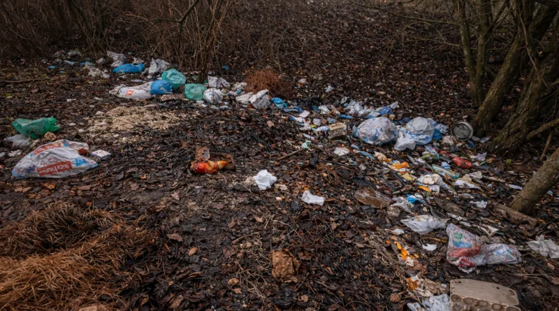 Gotha: 60 Tonnen illegal entsorgter Müll im Jahr 2025 Gotha: 60 Tonnen illegal entsorgter Müll