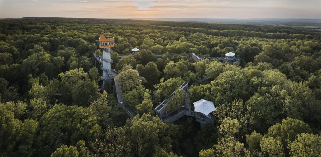 Zwischen Himmel und Hainich: Baumkronenpfad startet in die Saison 2026