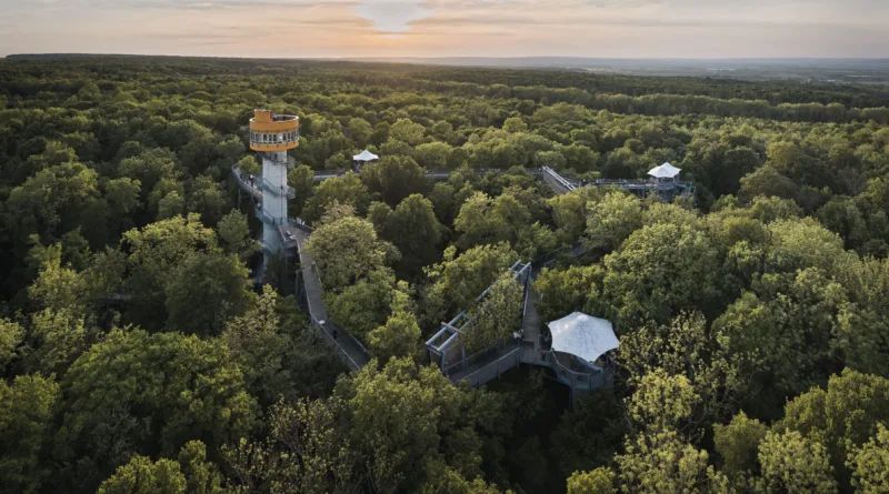 Zwischen Himmel und Hainich: Baumkronenpfad startet in die Saison 2026