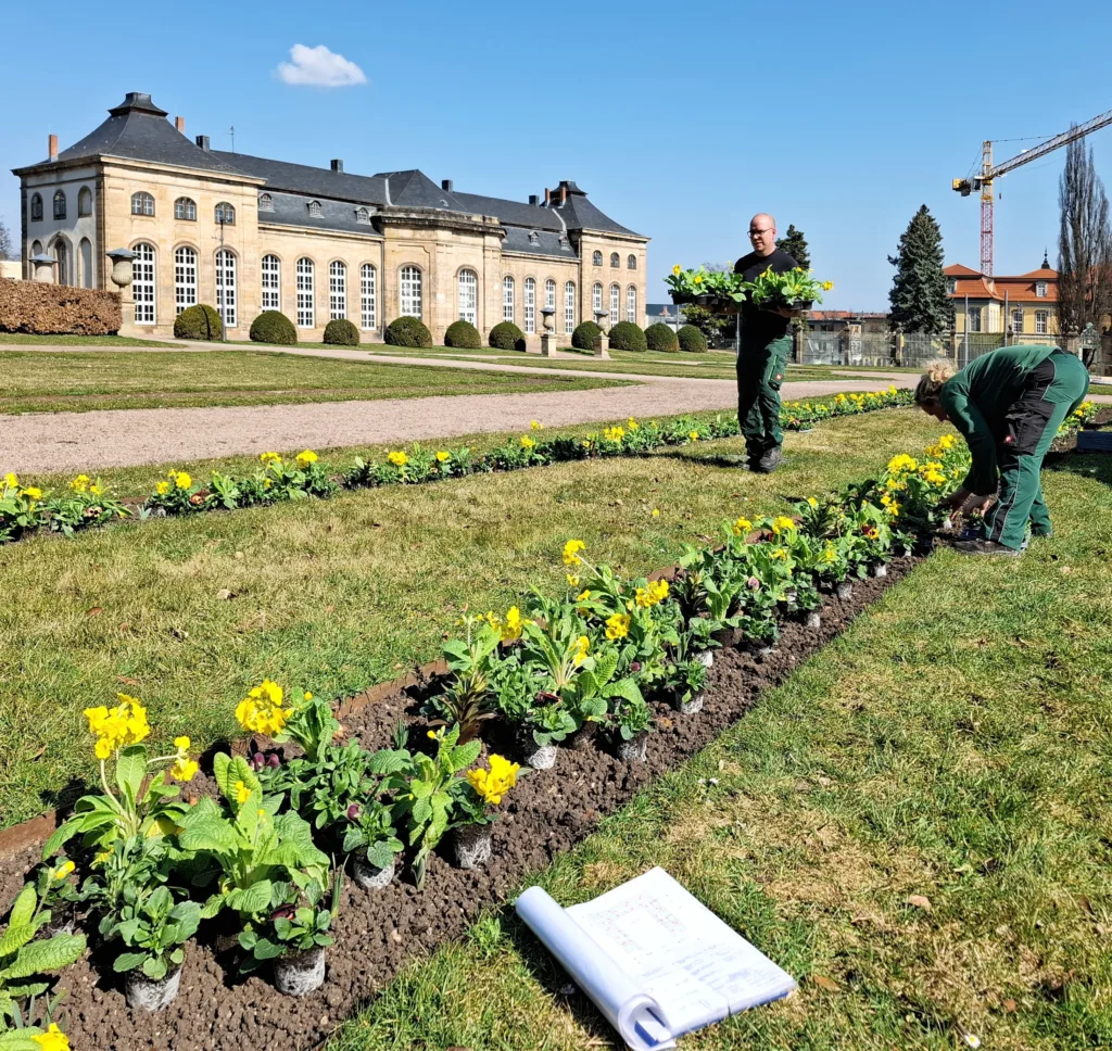 Gotha: Frühlingsflor in der Herzoglichen Orangerie