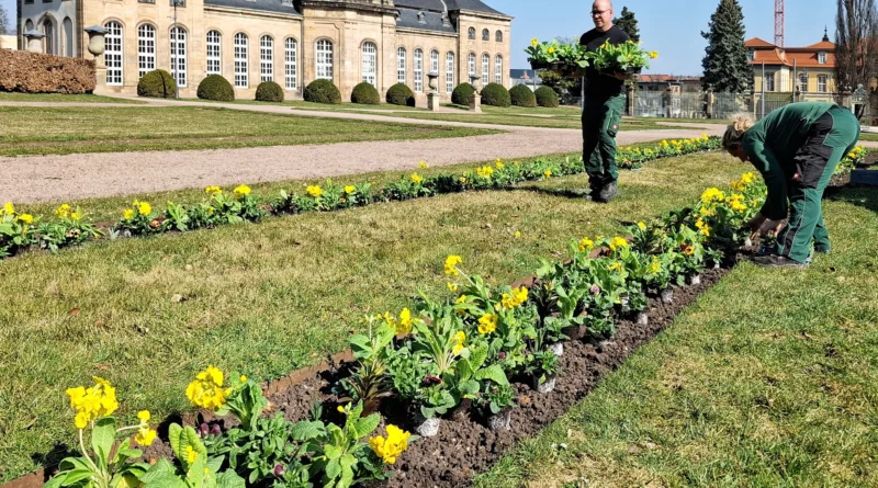 Gotha: Frühlingsflor in der Herzoglichen Orangerie