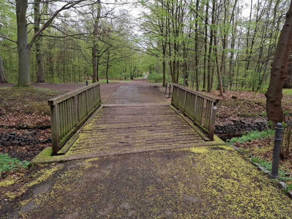 Gotha: Brücke im Englischen Garten wird erneuert