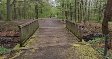 Gotha: Brücke im Englischen Garten wird erneuert