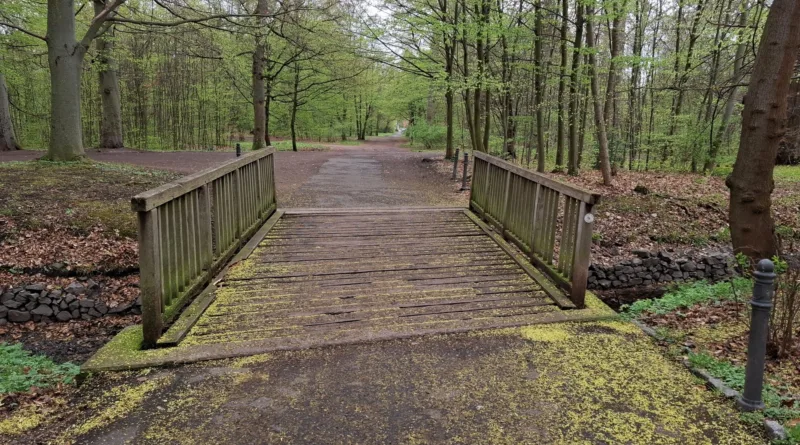 Gotha: Brücke im Englischen Garten wird erneuert