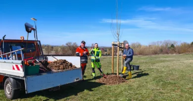Gotha: „Baum des Jahres 2026“ für den Bürgerpark
