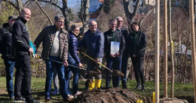 Gotha: Stadt pflanzt 35 neue Bäume Gotha: Stadt pflanzt 35 neue Bäume