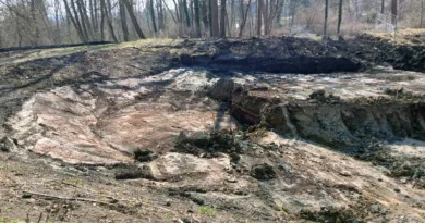 Gotha: Ausgleichsmaßnahmen für Gewerbegebiet „GothA4“ deutlich vorangeschritten