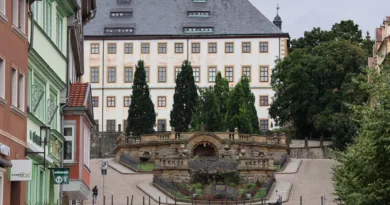 Mehr Farbe für Gotha: Tausende Blumen ziehen nach Pfingsten in die Innenstadt ein