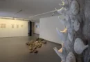 Gotha: Ausstellung „Coburger Künstler:innen“ im KunstForum Hannah Höch eröffnet