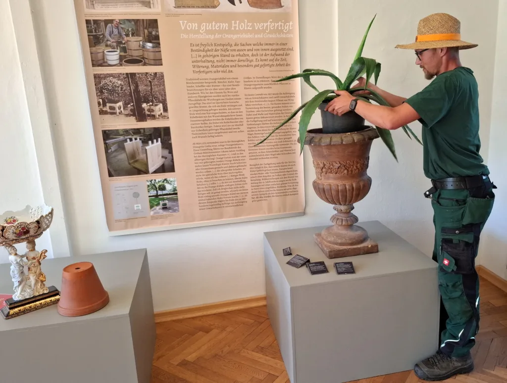 Gotha: Ausstellung zur Orangeriekultur