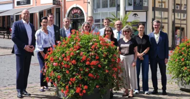 Gotha: Blumenschmuck für die Innenstadt Gotha: Blumenschmuck für die Innenstadt
