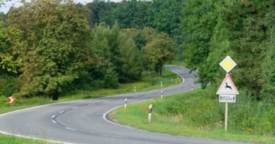 Mehrere Wildunfälle im Landkreis Gotha – Polizei mahnt zur Vorsicht