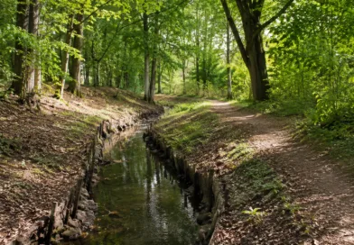 Landkreis Gotha erlässt Wasserentnahmeverbot