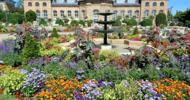 Gotha: Sonderausstellung zur Orangeriekultur in der Herzoglichen Orangerie Gotha: Sonderausstellung zur Orangeriekultur in der Herzoglichen Orangerie