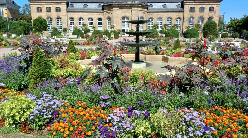 Gotha: Sonderausstellung zur Orangeriekultur in der Herzoglichen Orangerie