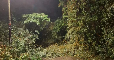Feuerwehr Gotha: Sieben Einsätze nach Unwetter am Abend Feuerwehr Gotha: Sieben Einsätze nach Unwetter am Abend