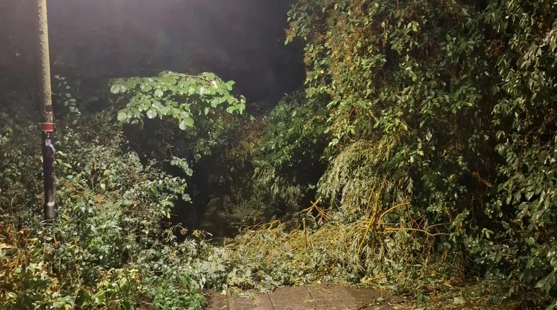 Feuerwehr Gotha: Sieben Einsätze nach Unwetter am Abend
