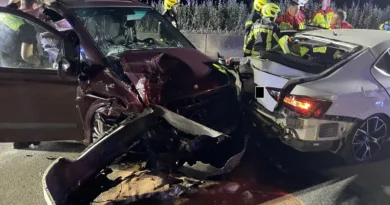 Feuerwehr Gotha Einsatzbericht: Flächenbrand, freilaufende Schweine und Unfall auf der A4