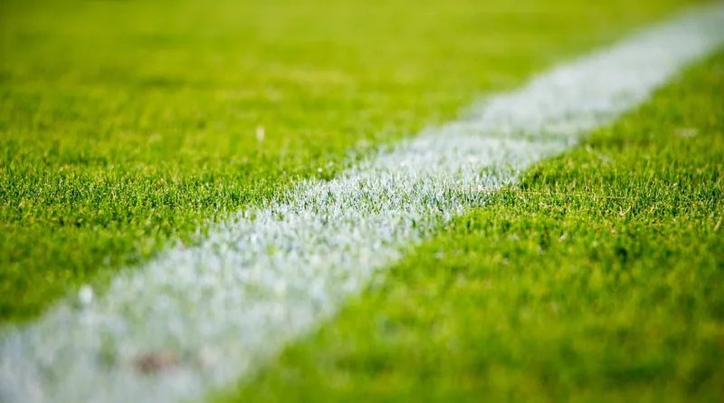 Gotha investiert 21.000 Euro in Pflege der Naturrasensportplätze Gotha investiert 21.000 Euro in Pflege der Naturrasensportplätze