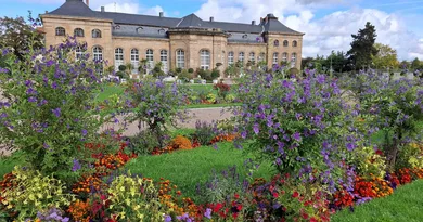 Gotha: Erfolgreiche Orangerie-Ausstellung endet mit Jubiläumspflanzung