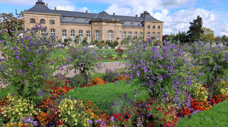 Gotha: Erfolgreiche Orangerie-Ausstellung endet mit Jubiläumspflanzung Gotha: Erfolgreiche Orangerie-Ausstellung endet mit Jubiläumspflanzung