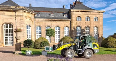 Gotha: Kübelpflanzen der Herzoglichen Orangerie ziehen um
