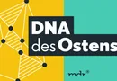 MDR-initiiertes Projekt „DNA des Ostens“ für Grimme Online Award nominiert